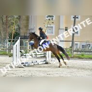 PR2_1368_Gramont