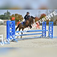 PR2_1370_Gramont