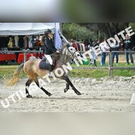 PR2_1378_Gramont