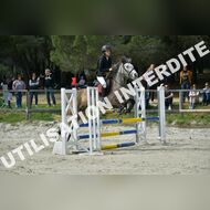 PR2_1379_Gramont