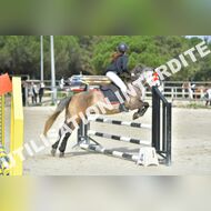 PR2_1380_Gramont