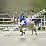 PR2_1388_Gramont
