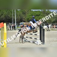 PR2_1393_Gramont