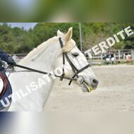 PR2_1402_Gramont