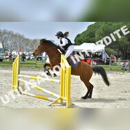 PR2_1438_Gramont