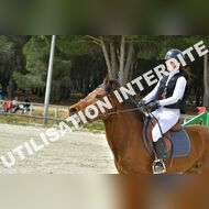 PR2_1443_Gramont