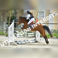 PR2_1444_Gramont