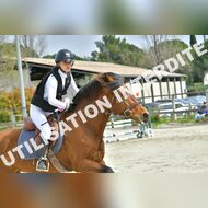 PR2_1446_Gramont