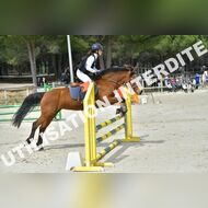 PR2_1448_Gramont