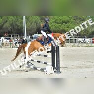 PR2_1456_Gramont