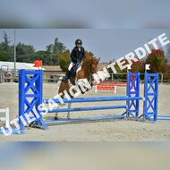 PR2_1461_Gramont