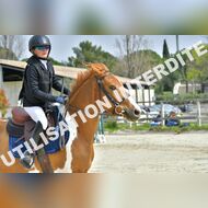 PR2_1462_Gramont