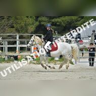 PR2_1465_Gramont