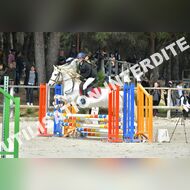 PR2_1466_Gramont