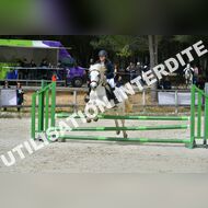 PR2_1485_Gramont