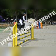 PR2_1505_Gramont