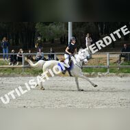 PR2_1541_Gramont