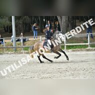 PR2_1586_Gramont