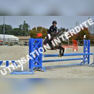 PR2_1591_Gramont
