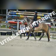 PR2_1595_Gramont