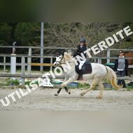 PR2_1597_Gramont