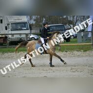 PR2_0491_Gramont