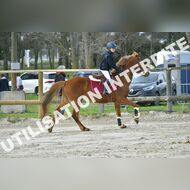 PR2_0504_Gramont