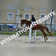 PR2_0509_Gramont