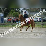 PR2_0511_Gramont