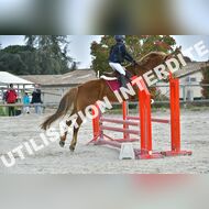 PR2_0516_Gramont