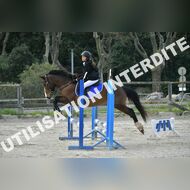 PR2_0555_Gramont
