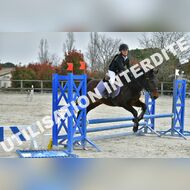 PR2_0574_Gramont