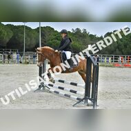 PR2_0636_Gramont
