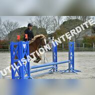 PR2_0640_Gramont