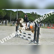 PR2_0654_Gramont