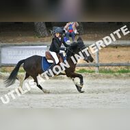 PR2_0688_Gramont