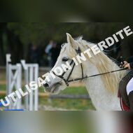 PR2_0721_Gramont
