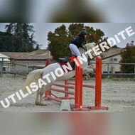 PR2_0733_Gramont
