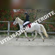 PR2_0735_Gramont