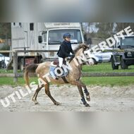 PR2_0752_Gramont