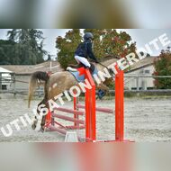 PR2_0764_Gramont