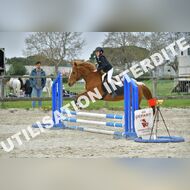 PR2_0782_Gramont