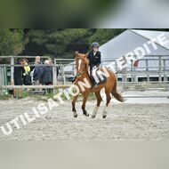 PR2_0784_Gramont