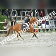 PR2_0788_Gramont