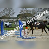 PR2_0847_Gramont
