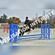 PR2_0850_Gramont