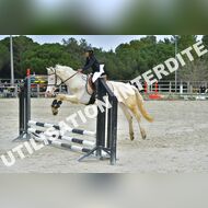 PR2_0860_Gramont