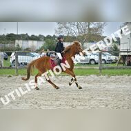 PR2_0870_Gramont