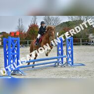 PR2_0876_Gramont