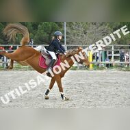 PR2_0880_Gramont